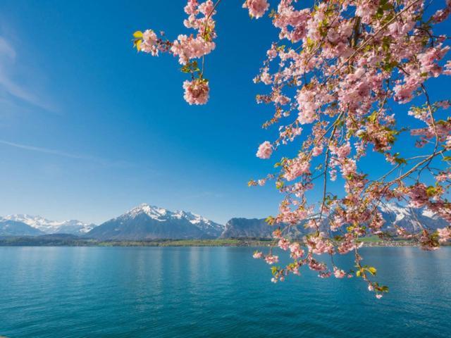 Schoene Ferienwohnung Mit Seeblick Thun Ngoại thất bức ảnh